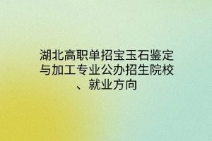 湖北高職單招寶玉石鑒定與加工專業(yè)公辦招生院校、就業(yè)方向