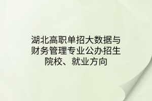 湖北高職單招大數(shù)據(jù)與財務管理專業(yè)公辦招生院校、就業(yè)方向
