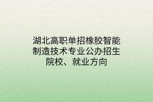 湖北高職單招橡膠智能制造技術(shù)專業(yè)公辦招生院校、就業(yè)方向