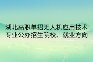 湖北高職單招無人機應用技術(shù)專業(yè)