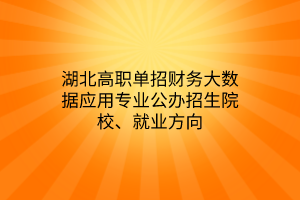 湖北高職單招財務大數據應用專業(yè)公辦招生院校、就業(yè)方向