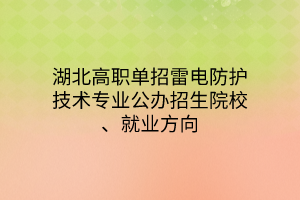 湖北高職單招雷電防護(hù)技術(shù)專(zhuān)業(yè)公辦招生院校、就業(yè)方向