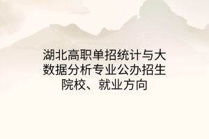 湖北高職單招統(tǒng)計(jì)與大數(shù)據(jù)分析專業(yè)公辦招生院校、就業(yè)方向