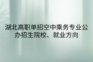 湖北高職單招空中乘務(wù)專業(yè)公辦招生院校、就業(yè)方向