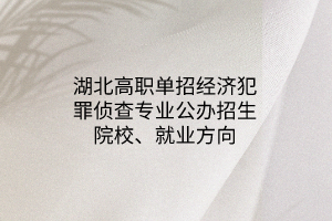 湖北高職單招經(jīng)濟犯罪偵查專業(yè)公辦招生院校、就業(yè)方向