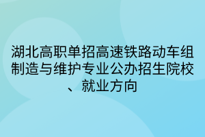 湖北高職單招高速鐵路動(dòng)車組制造與維護(hù)專業(yè)