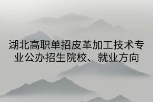 湖北高職單招皮革加工技術(shù)專(zhuān)業(yè)