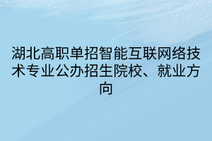 湖北高職單招智能互聯(lián)網(wǎng)絡(luò)技術(shù)專(zhuān)業(yè)公辦招生院校、就業(yè)方向