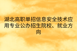湖北高職單招信息安全技術(shù)應(yīng)用專業(yè)公辦招生院校、就業(yè)方向