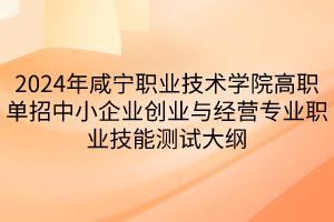 2024年咸寧職業(yè)技術學院高職單招中小企業(yè)創(chuàng)業(yè)與經(jīng)營專業(yè)職業(yè)技能測試大綱
