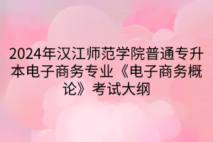 2024年漢江師范學院普通專升本電子商務專業(yè)《電子商務概論》考試大綱(1)
