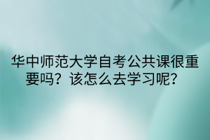 華中師范大學(xué)自考公共課很重要嗎？該怎么去學(xué)習(xí)呢？