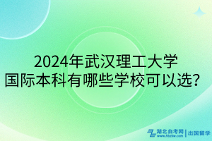 2024年武漢理工大學(xué)國(guó)際本科有哪些學(xué)?？梢赃x？