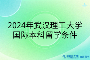 2024年武漢理工大學國際本科留學條件