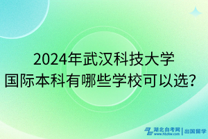 2024年武漢科技大學國際本科有哪些學?？梢赃x？