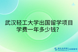 武漢輕工大學(xué)出國留學(xué)項目學(xué)費一年多少錢？