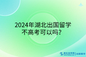 2024年湖北出國(guó)留學(xué)不高考可以嗎？