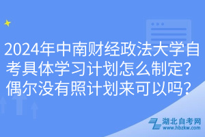 2024年中南財經(jīng)政法大學自考具體學習計劃怎么制定？偶爾沒有照計劃來可以嗎？