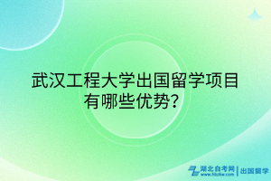 武漢工程大學(xué)出國(guó)留學(xué)項(xiàng)目有哪些優(yōu)勢(shì)？