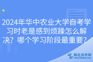 2024年華中農(nóng)業(yè)大學(xué)自考學(xué)習(xí)時老是感到煩躁怎么解決？哪個學(xué)習(xí)階段最重要？