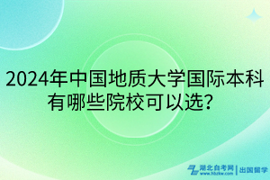 2024年中國地質(zhì)大學(xué)國際本科有哪些院校可以選？