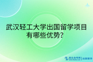 武漢輕工大學出國留學項目有哪些優(yōu)勢？