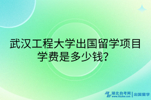 武漢工程大學出國留學項目學費是多少錢？