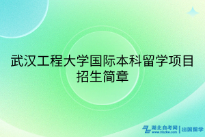 武漢工程大學(xué)國際本科留學(xué)項(xiàng)目招生簡章