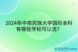 2024年中南民族大學(xué)國際本科有哪些學(xué)?？梢赃x？