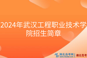 2024年武漢工程職業(yè)技術(shù)學院招生簡章