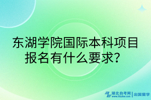 東湖學院國際本科項目報名有什么要求？