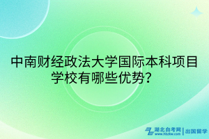 中南財經(jīng)政法大學(xué)國際本科項目學(xué)校有哪些優(yōu)勢？