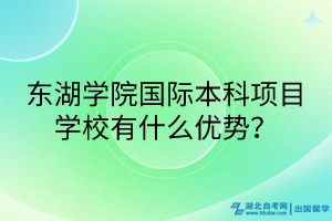 東湖學(xué)院國際本科項目學(xué)校有什么優(yōu)勢？