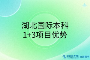 湖北國際本科1+3項目優(yōu)勢