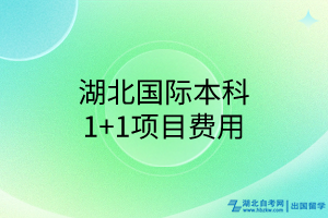 湖北國際本科1+1項目費用