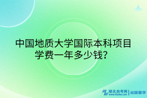 中國(guó)地質(zhì)大學(xué)國(guó)際本科項(xiàng)目學(xué)費(fèi)一年多少錢？