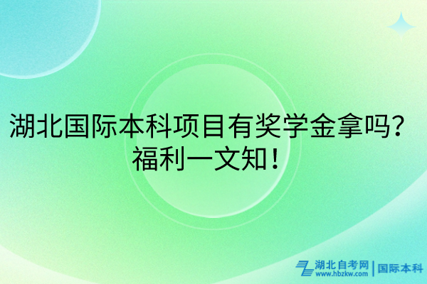 湖北國際本科項目有獎學金拿嗎？福利大放送！