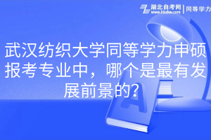 武漢紡織大學(xué)同等學(xué)力申碩報(bào)考專業(yè)中，哪個(gè)是最有發(fā)展前景的？