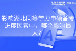 影響湖北同等學力申碩備考進度因素中，哪個影響最大？