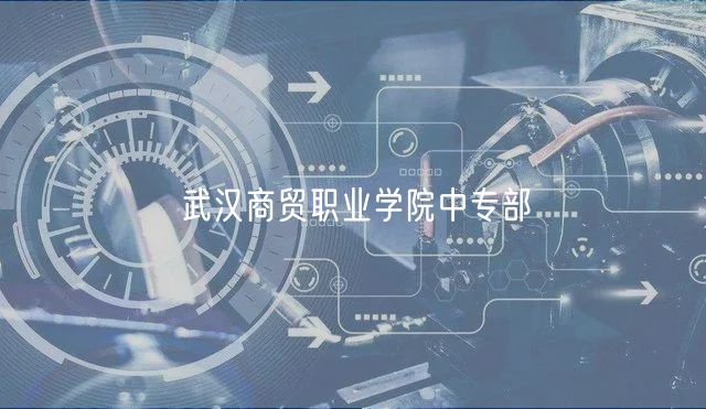 武漢商貿(mào)職業(yè)學(xué)院中專(zhuān)部