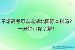 不想高考可以選湖北國際本科嗎？一分鐘帶你了解！