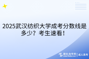 2025武漢紡織大學(xué)成考分數(shù)線是多少？考生速看！