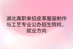 湖北高職單招皮革服裝制作與工藝專業(yè)公辦招生院校、就業(yè)方向