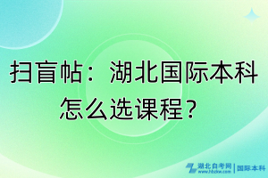 掃盲帖：湖北國際本科怎么選課程？
