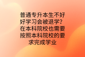 普通專升本生不好好學(xué)習(xí)會被退學(xué)？在本科院校也需要按照本科院校的要求完成學(xué)業(yè)