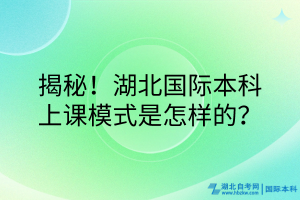 揭秘！湖北國(guó)際本科的上課模式是怎樣的？