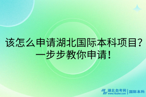 該怎么申請湖北國際本科項目？一步步教你申請！