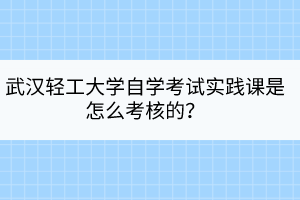 武漢輕工大學(xué)自學(xué)考試實(shí)踐課是怎么考核的？