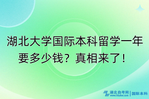 湖北大學(xué)國(guó)際本科留學(xué)一年要多少錢？真相來(lái)了！