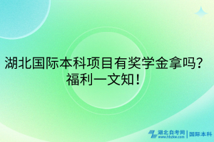 湖北國際本科項目有獎學(xué)金拿嗎？福利一文知！